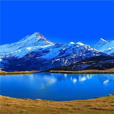 亚搏娱乐app官网下载