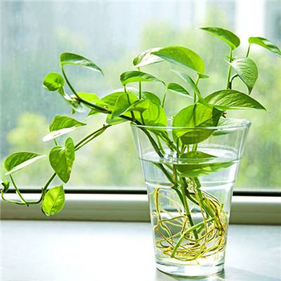 爱游戏平台官方网站